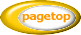 pagetop 