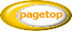pagetop
